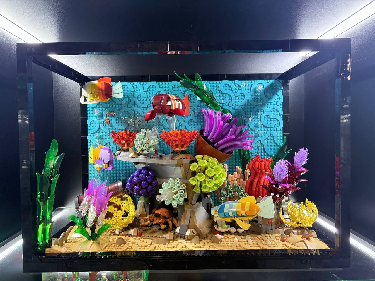 LEGO 10366 Tropical Aquarium