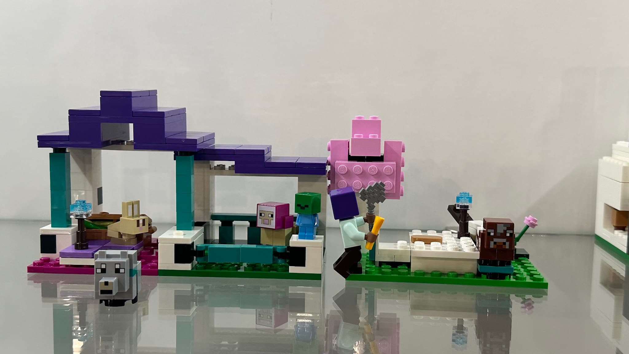 LEGO 21253 The Animal Sanctuary