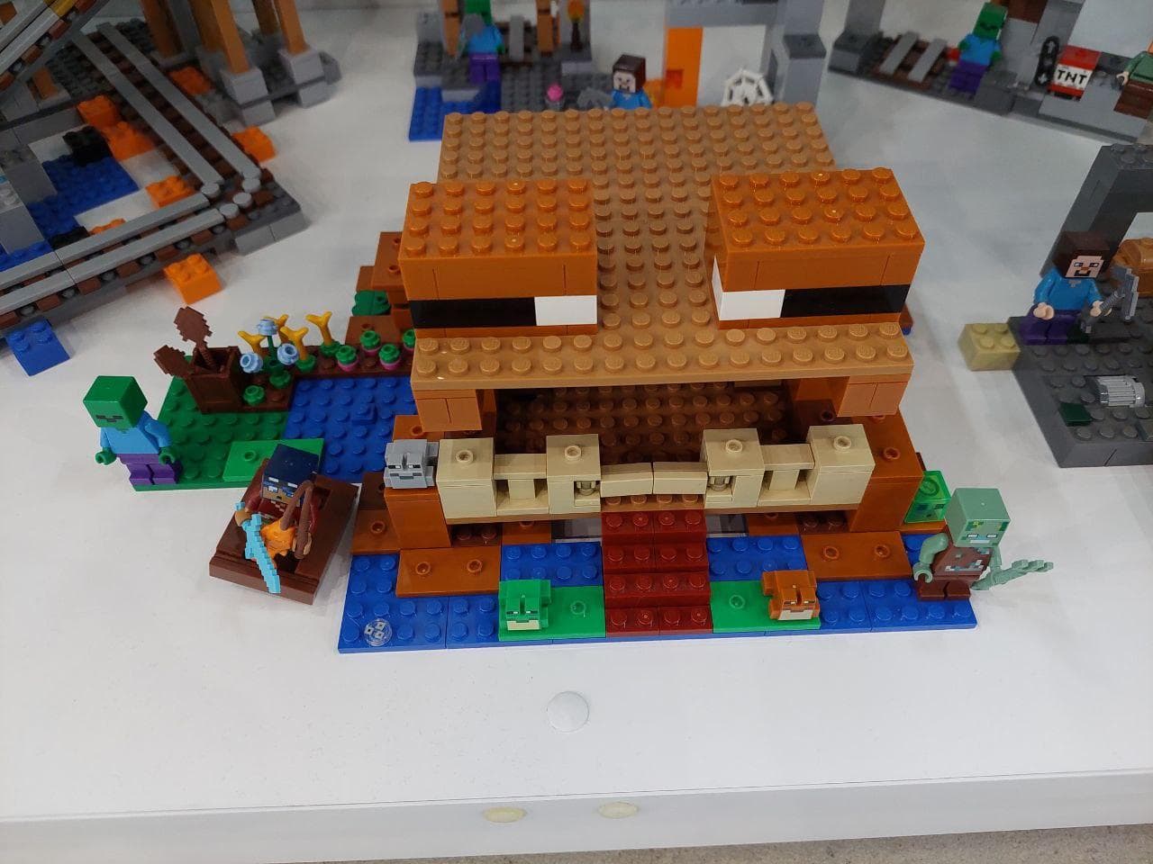 LEGO 21256 The Frog House