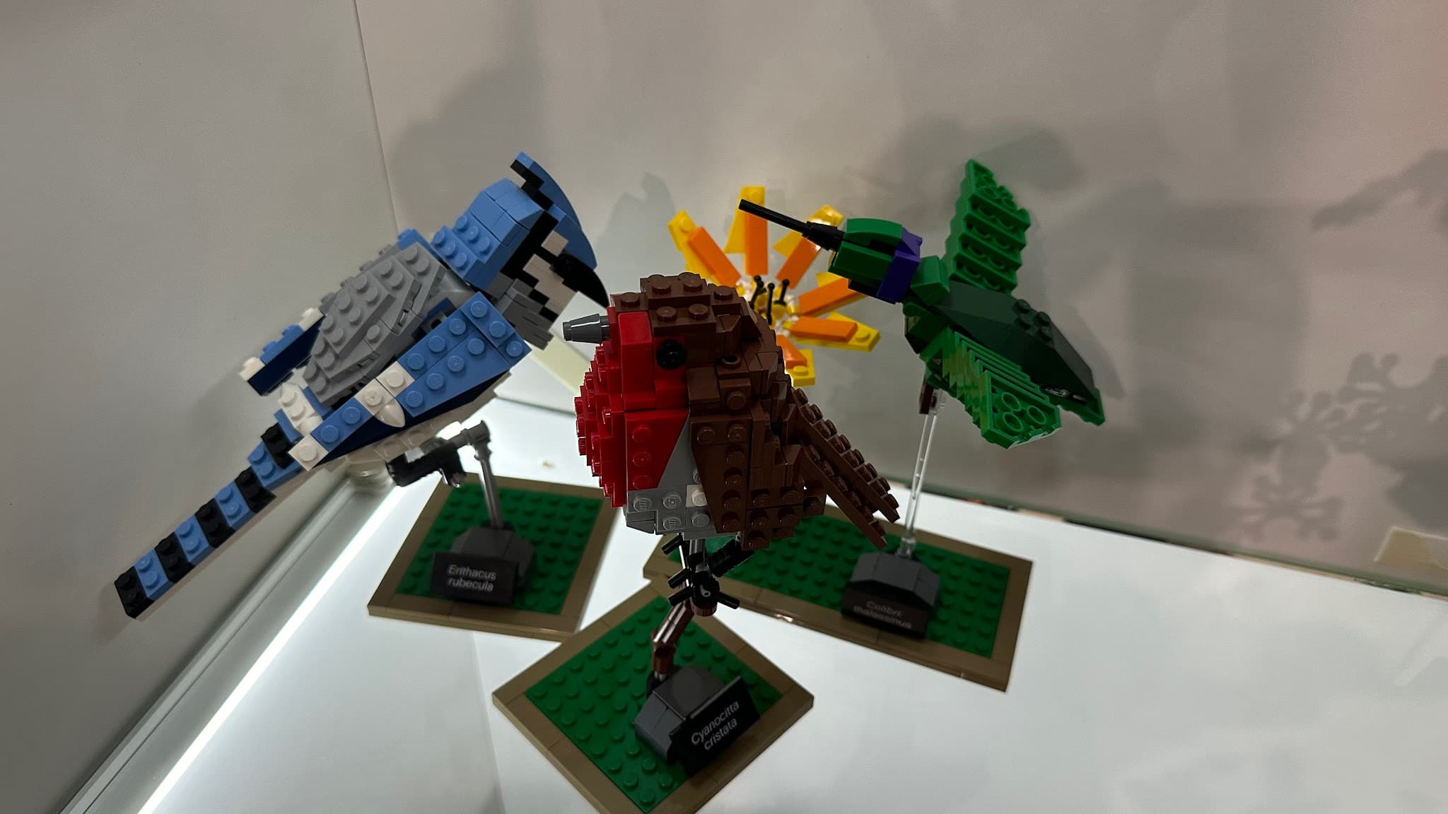 LEGO 21301 Birds