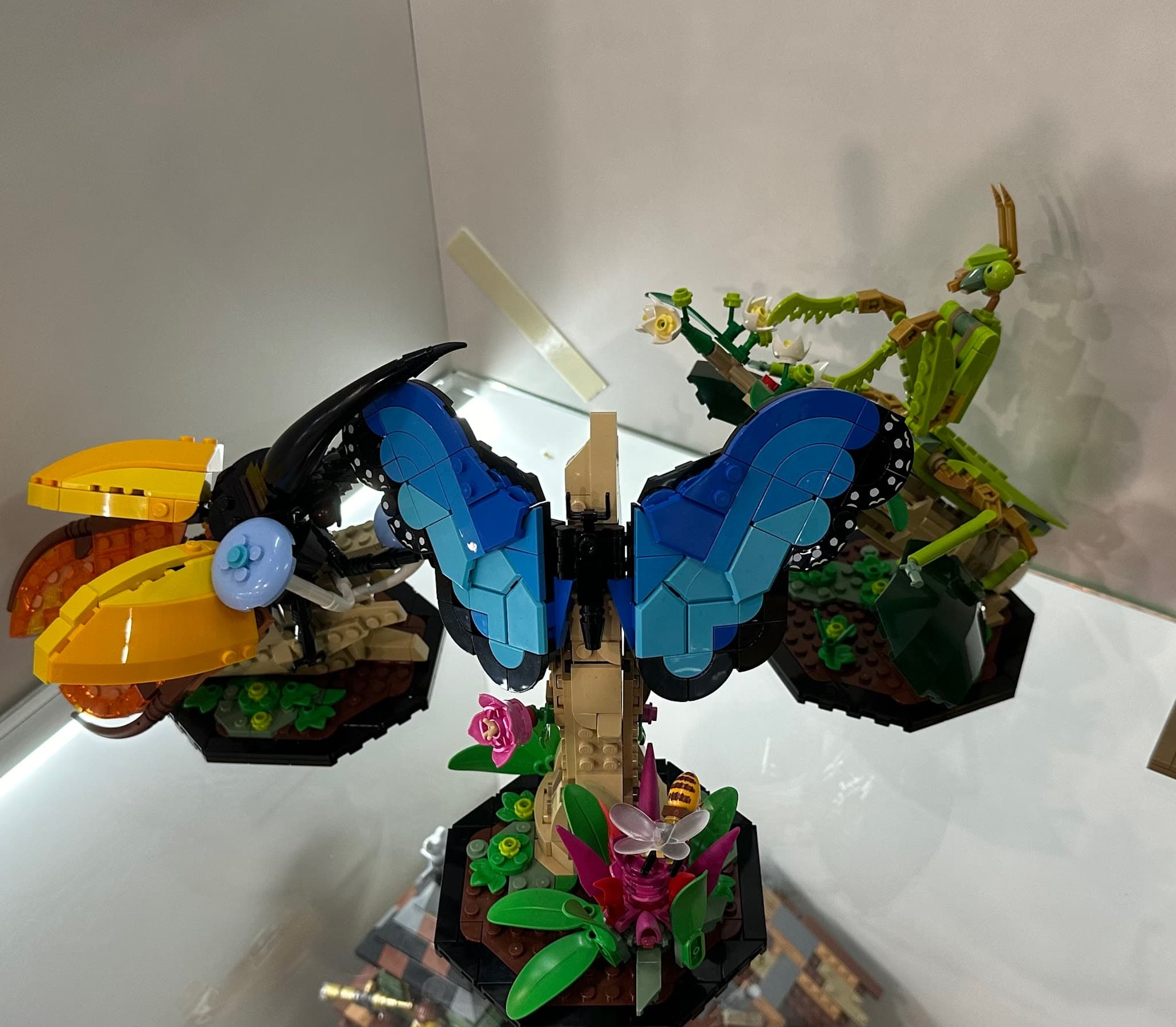 LEGO 21342 The Insect Collection