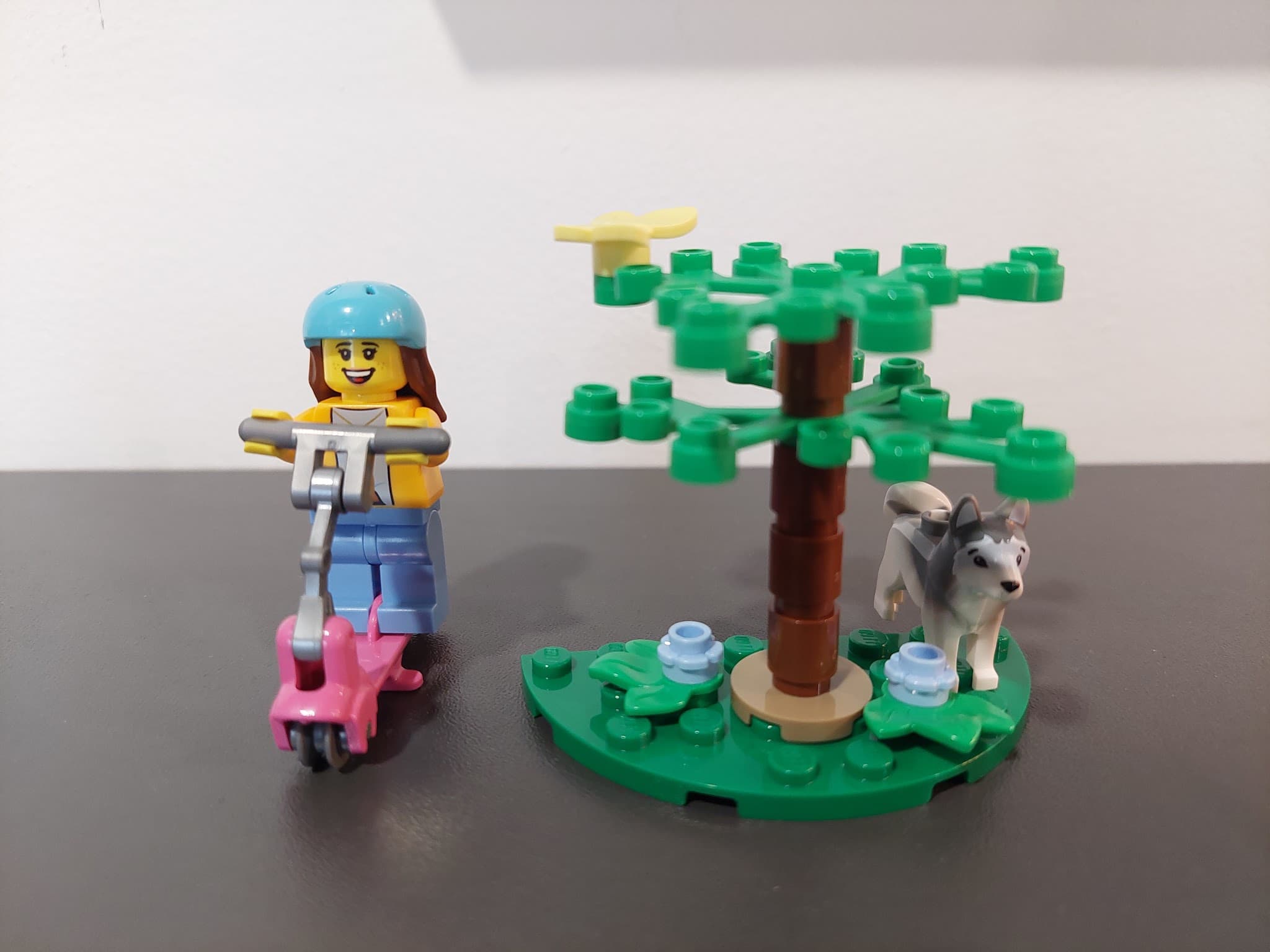 LEGO 30639 Dog Park and Scooter