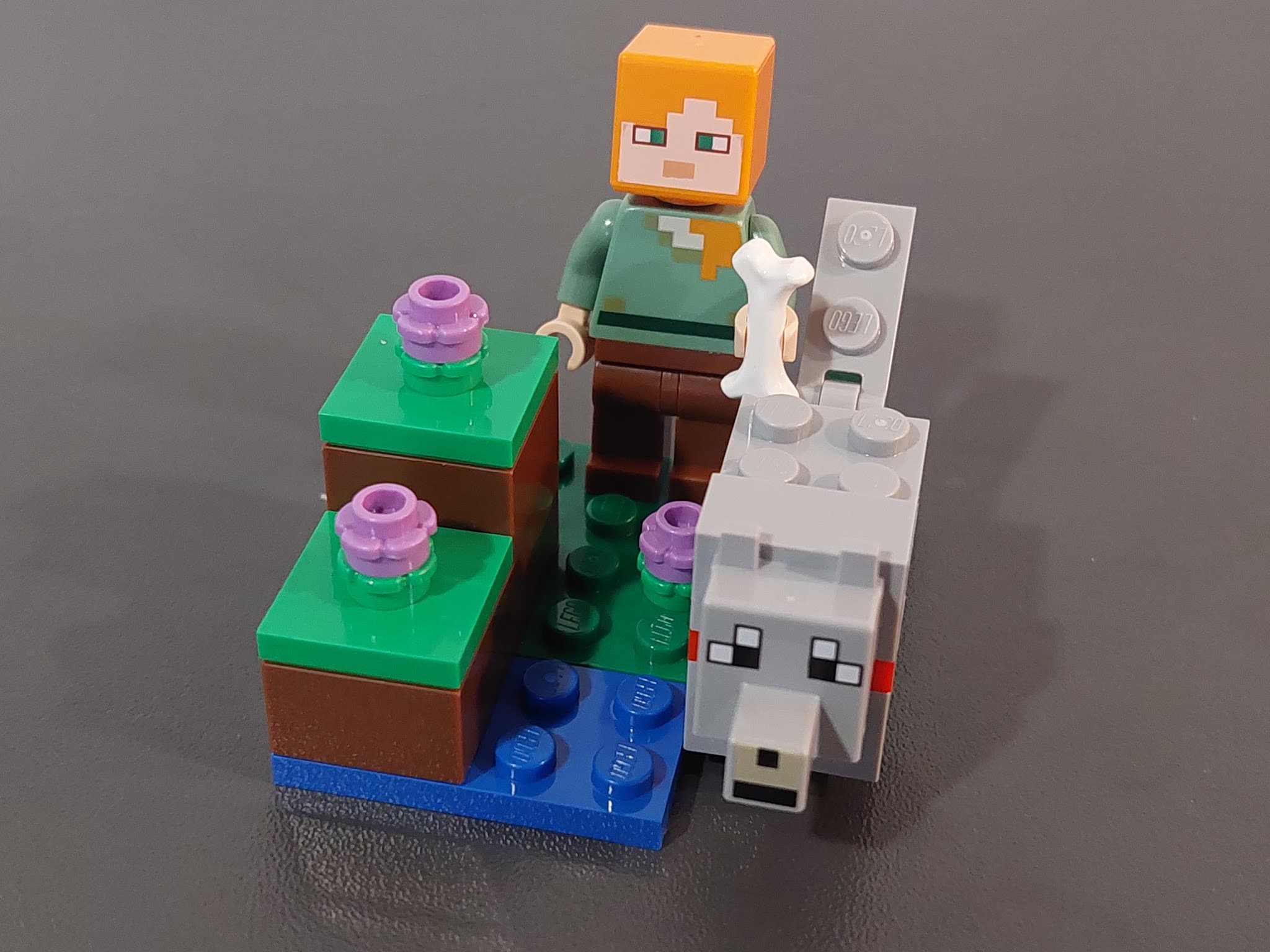 LEGO 662404 Alex and Wolf