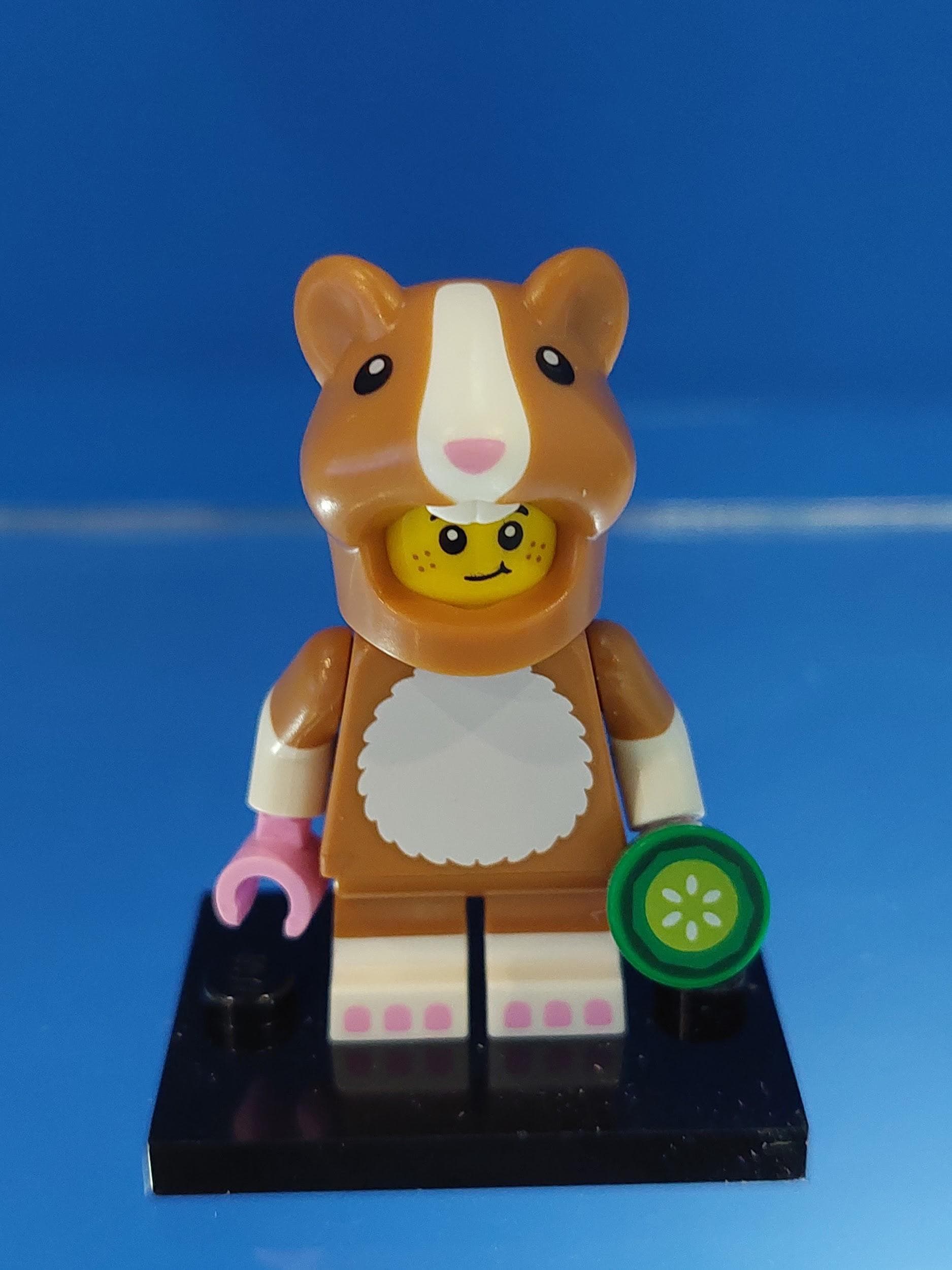 LEGO 71048-6 Pterodactyl Costume Fan