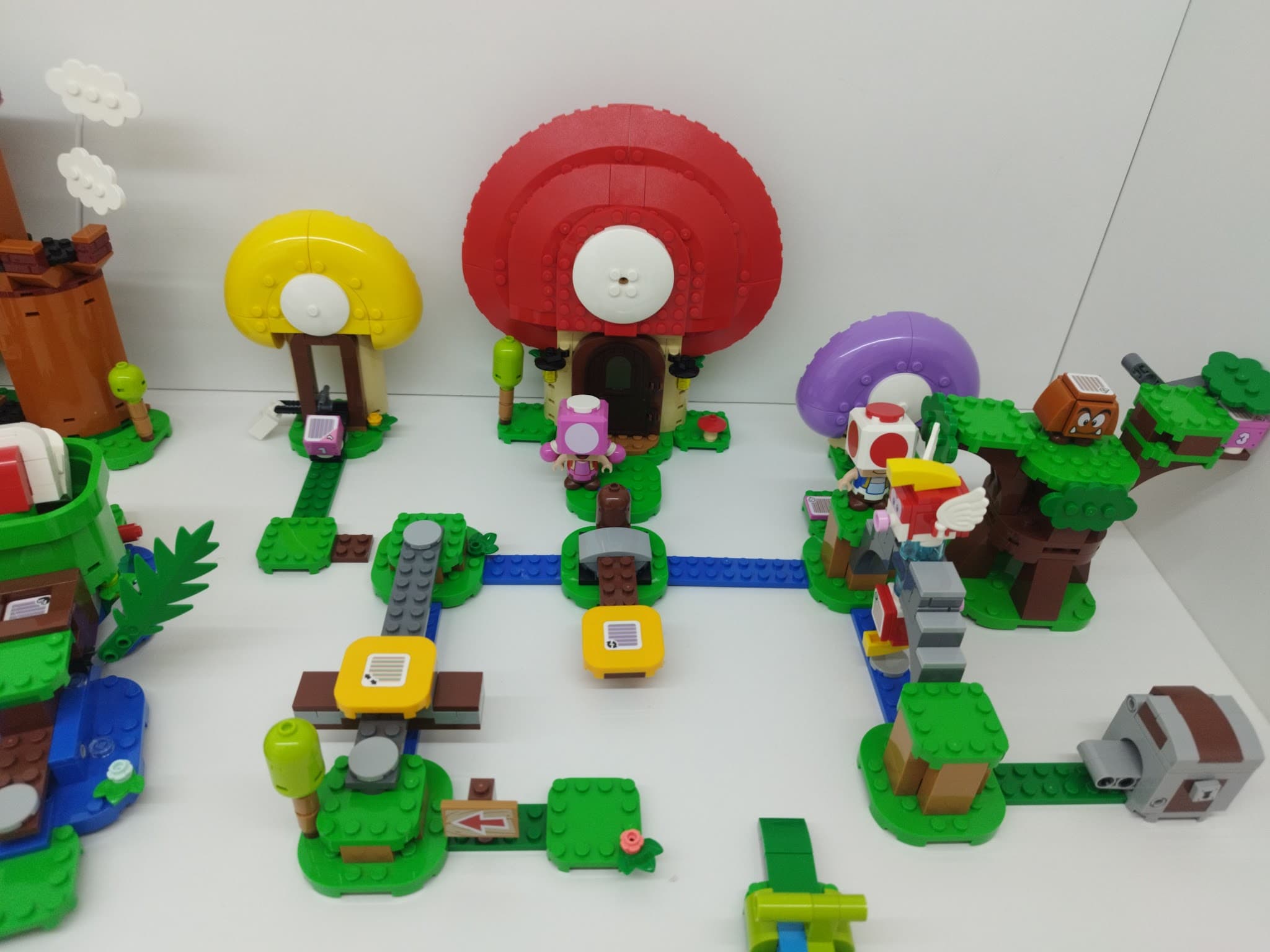LEGO 71368 Toad's Treasure Hunt