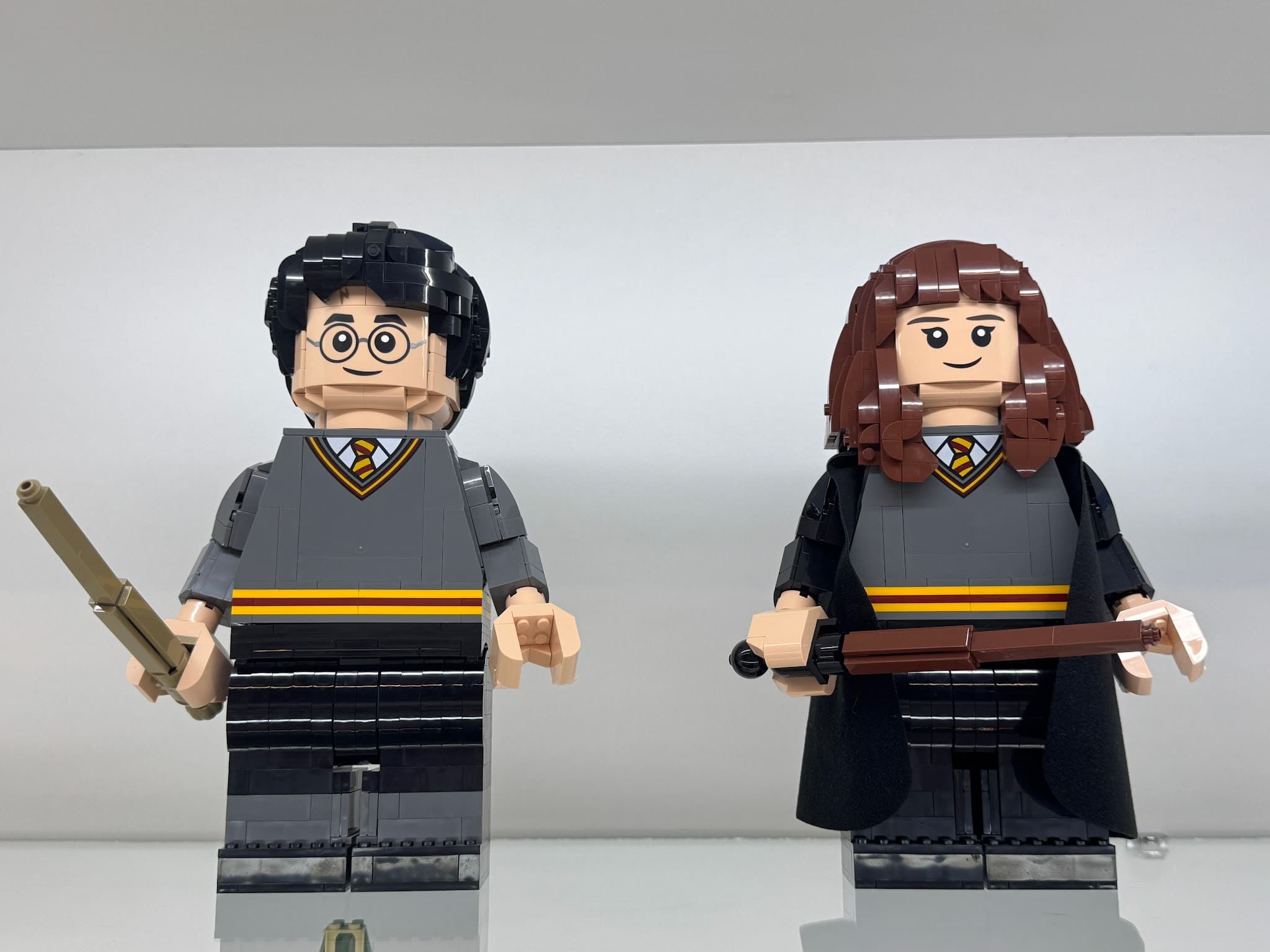 LEGO 76393 Harry Potter & Hermione Granger
