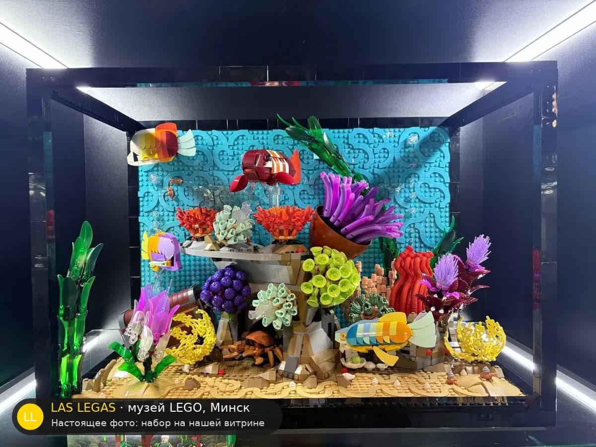 LEGO 10366 Тропический аквариум (Tropical Aquarium) на витрине музея Las Legas
