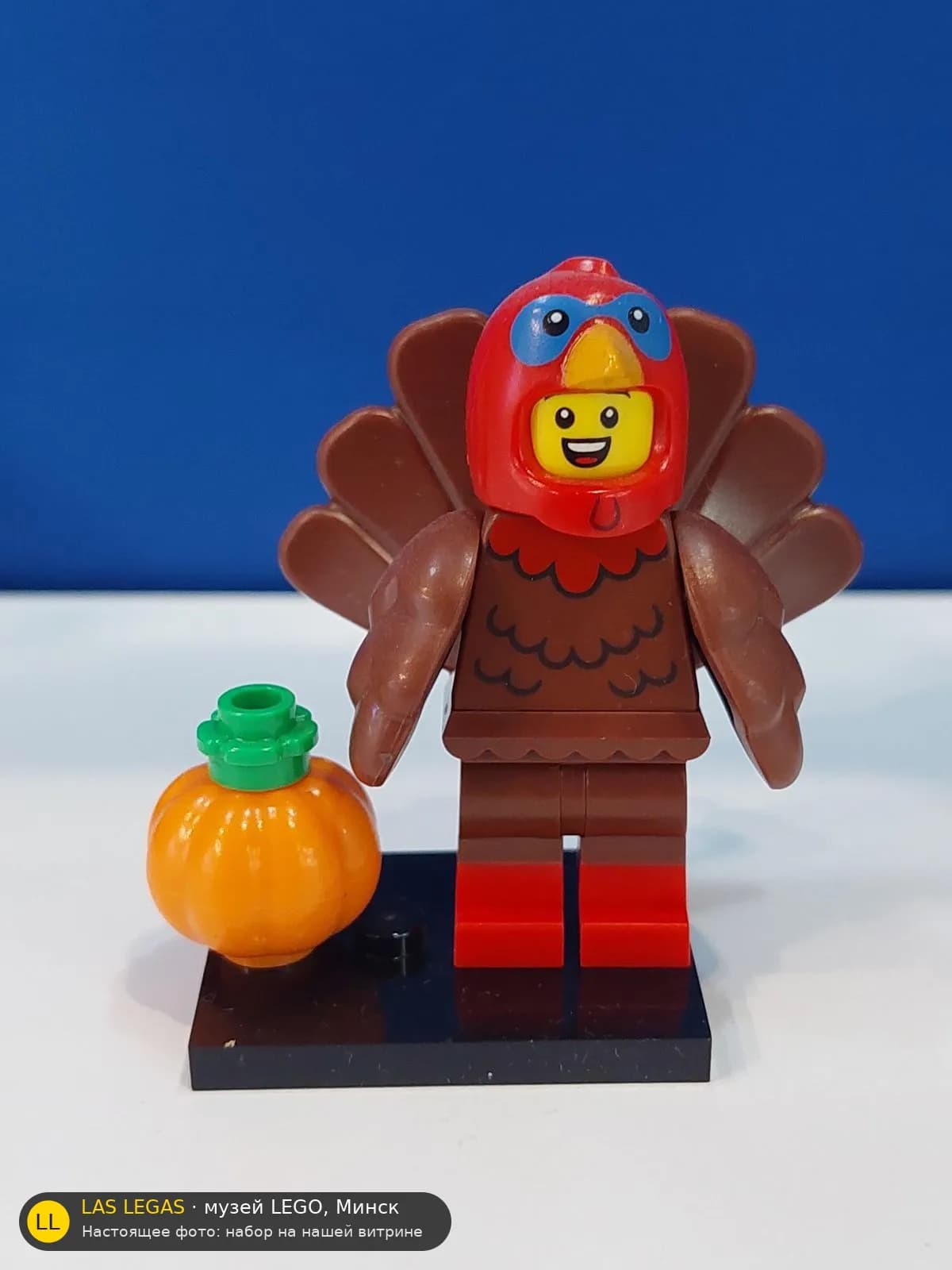 LEGO 71034 Костюм индейки (Turkey Costume) на витрине музея Las Legas
