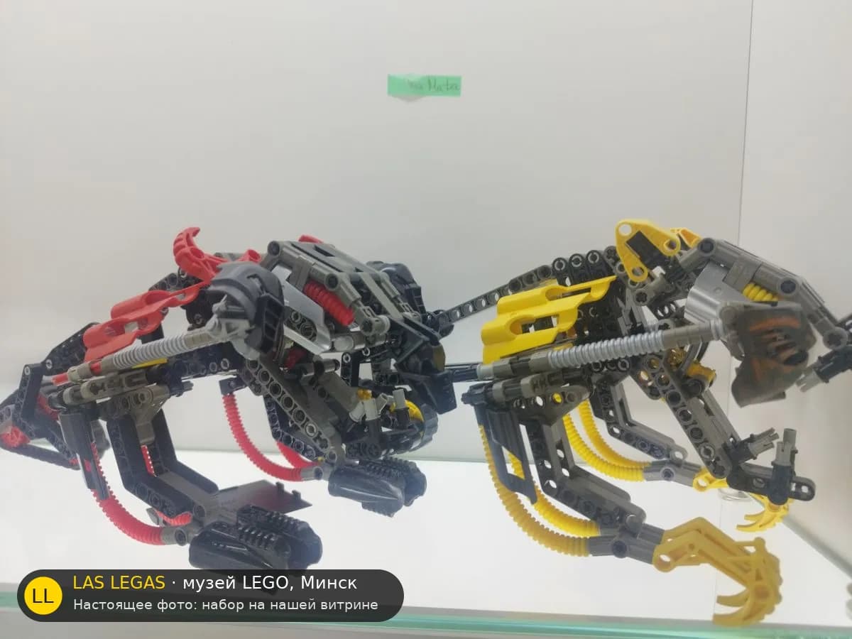 LEGO 8538 Муака и Кане-ра (Muaka & Kane-ra) на витрине музея Las Legas
