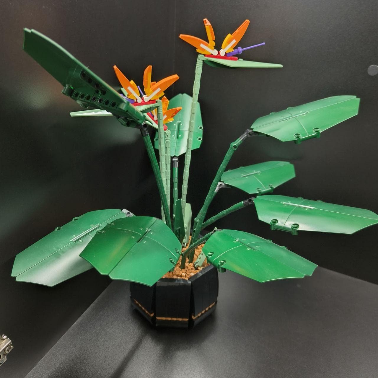 LEGO 10289 Bird of Paradise
