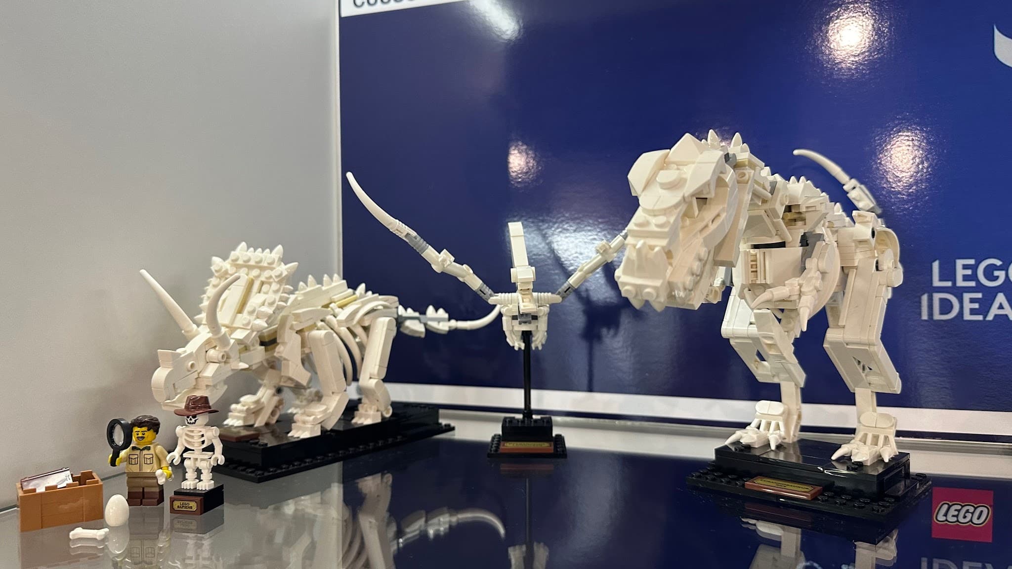 LEGO 21320 Dinosaur Fossils