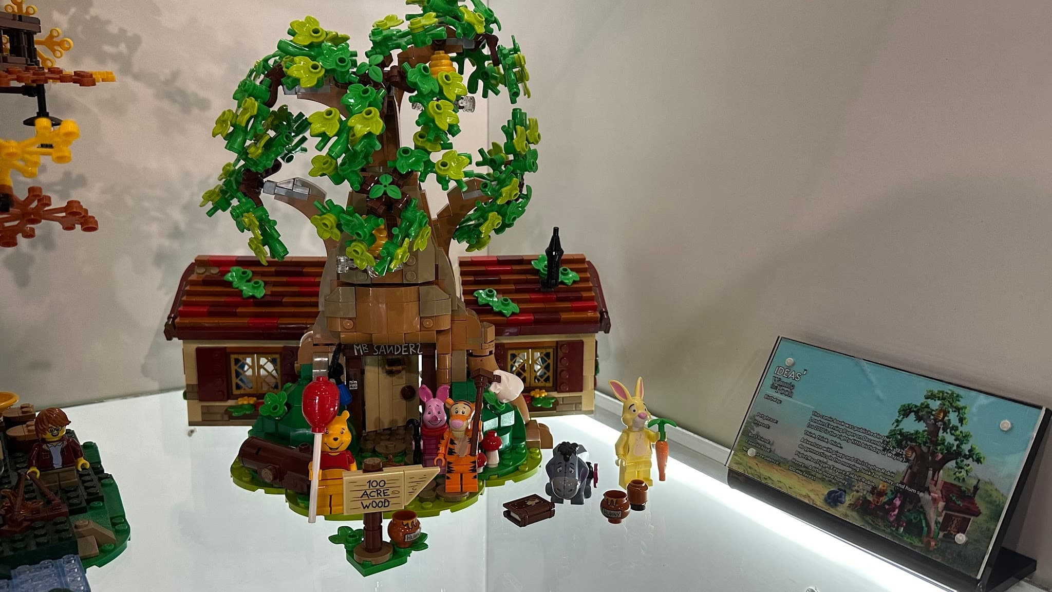 LEGO 21326 Winnie the Pooh