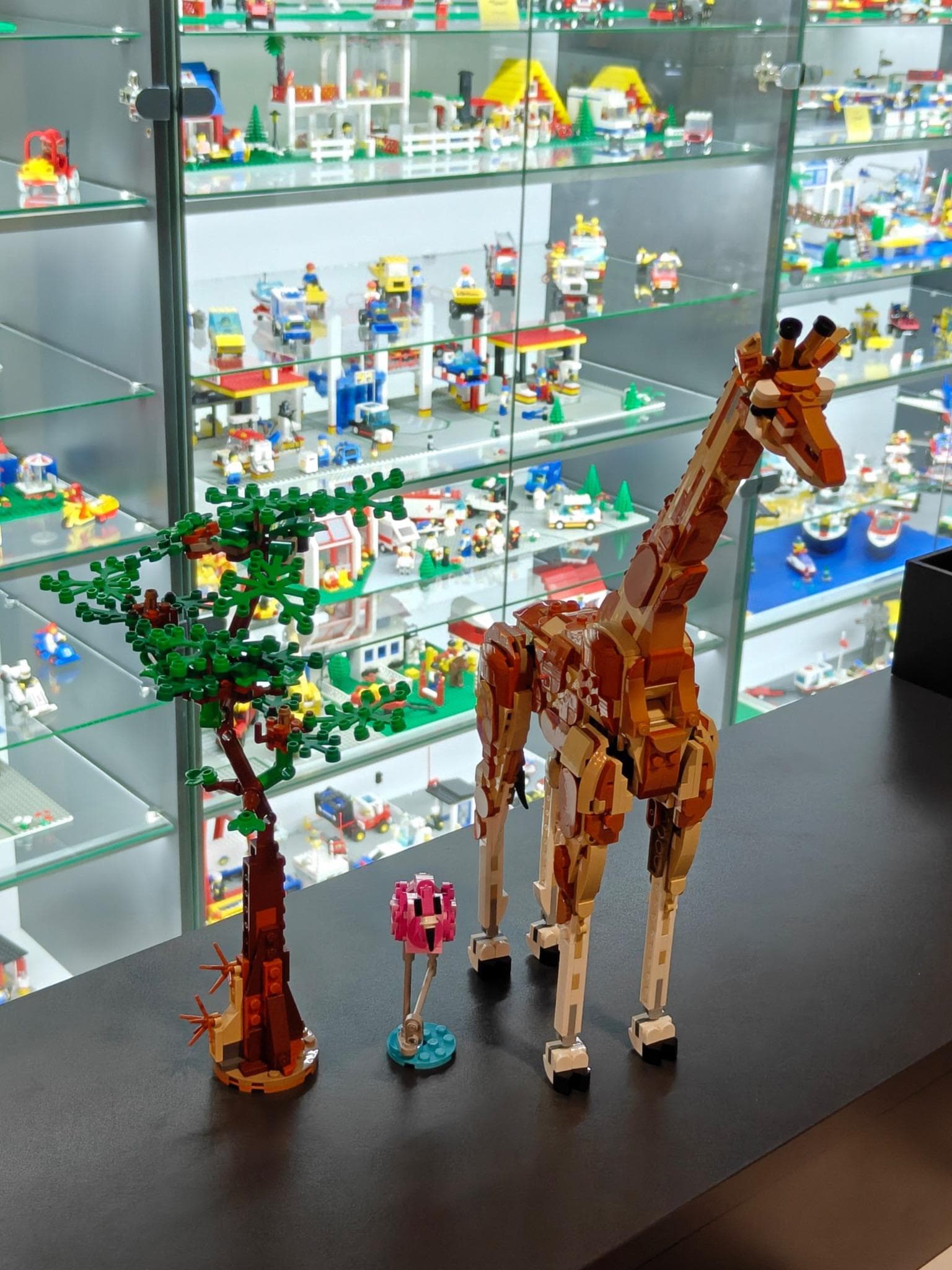 LEGO 31150 Wild Safari Animals