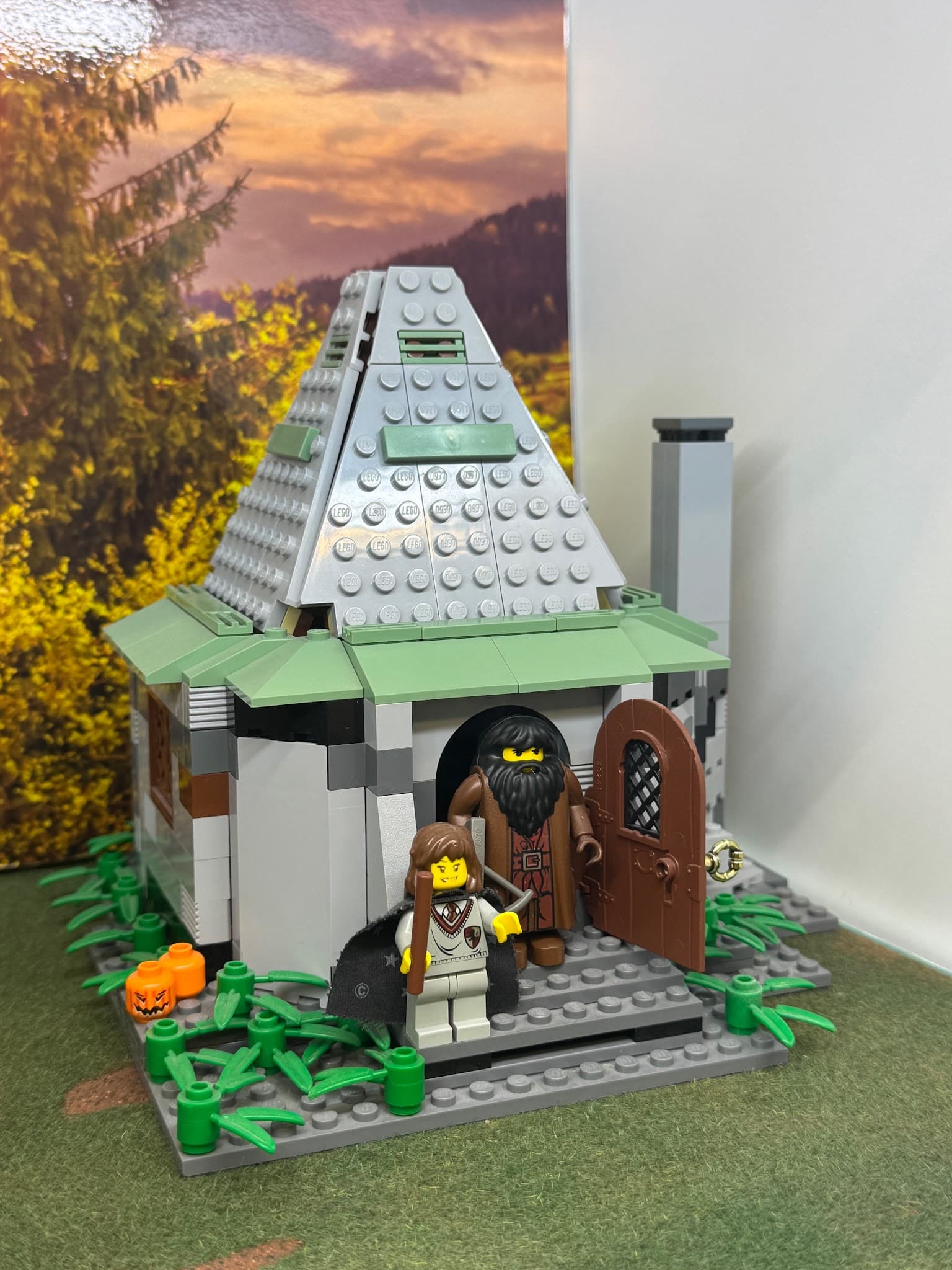 LEGO 4754 Hagrid's Hut