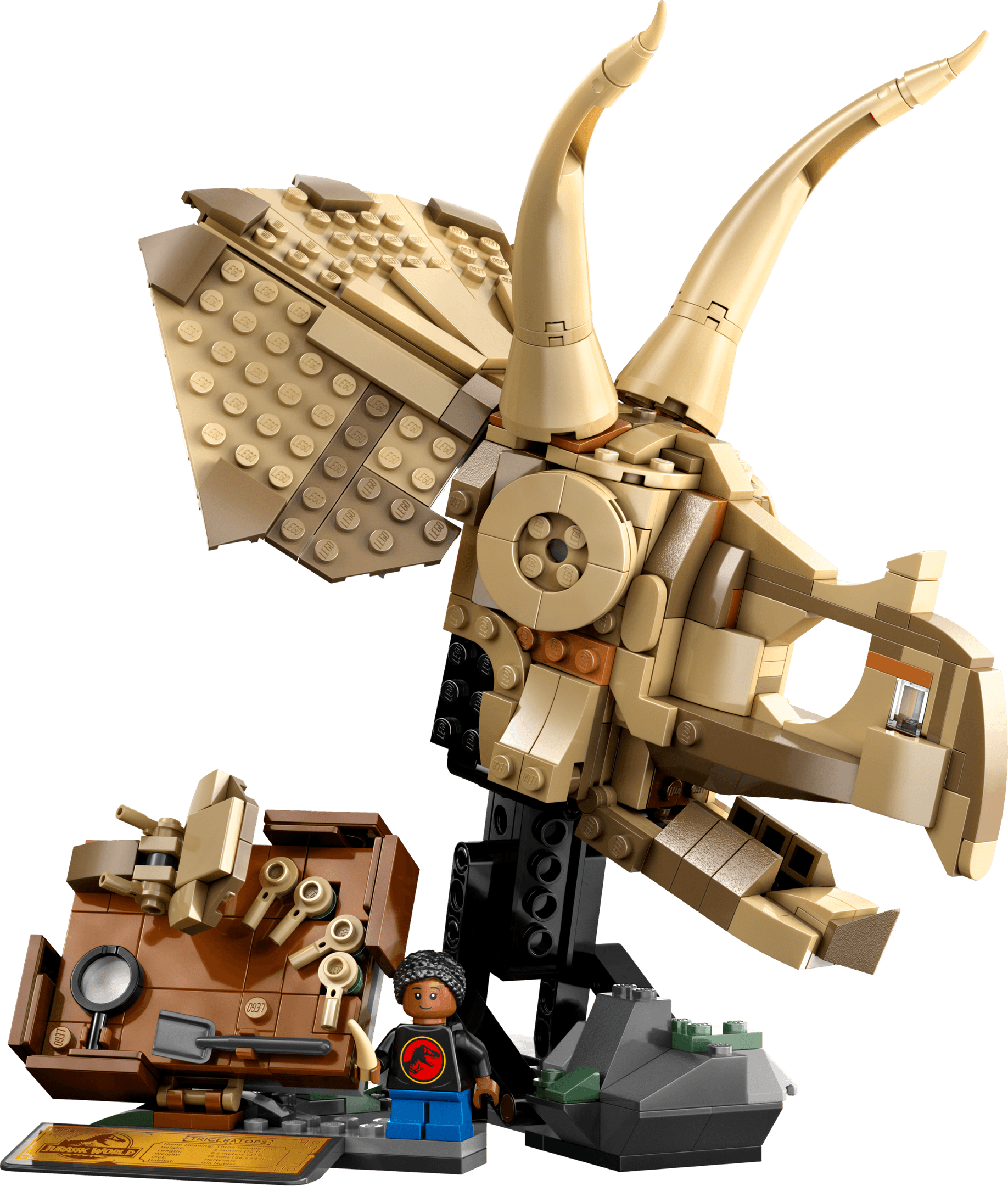 LEGO 76969 Dinosaur Fossils: Triceratops Skull