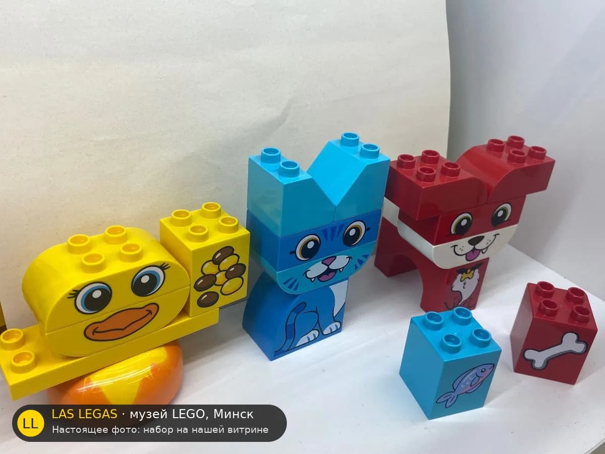 LEGO 10858 Мои первые питомцы-пазлы (My First Puzzle Pets) на витрине музея Las Legas