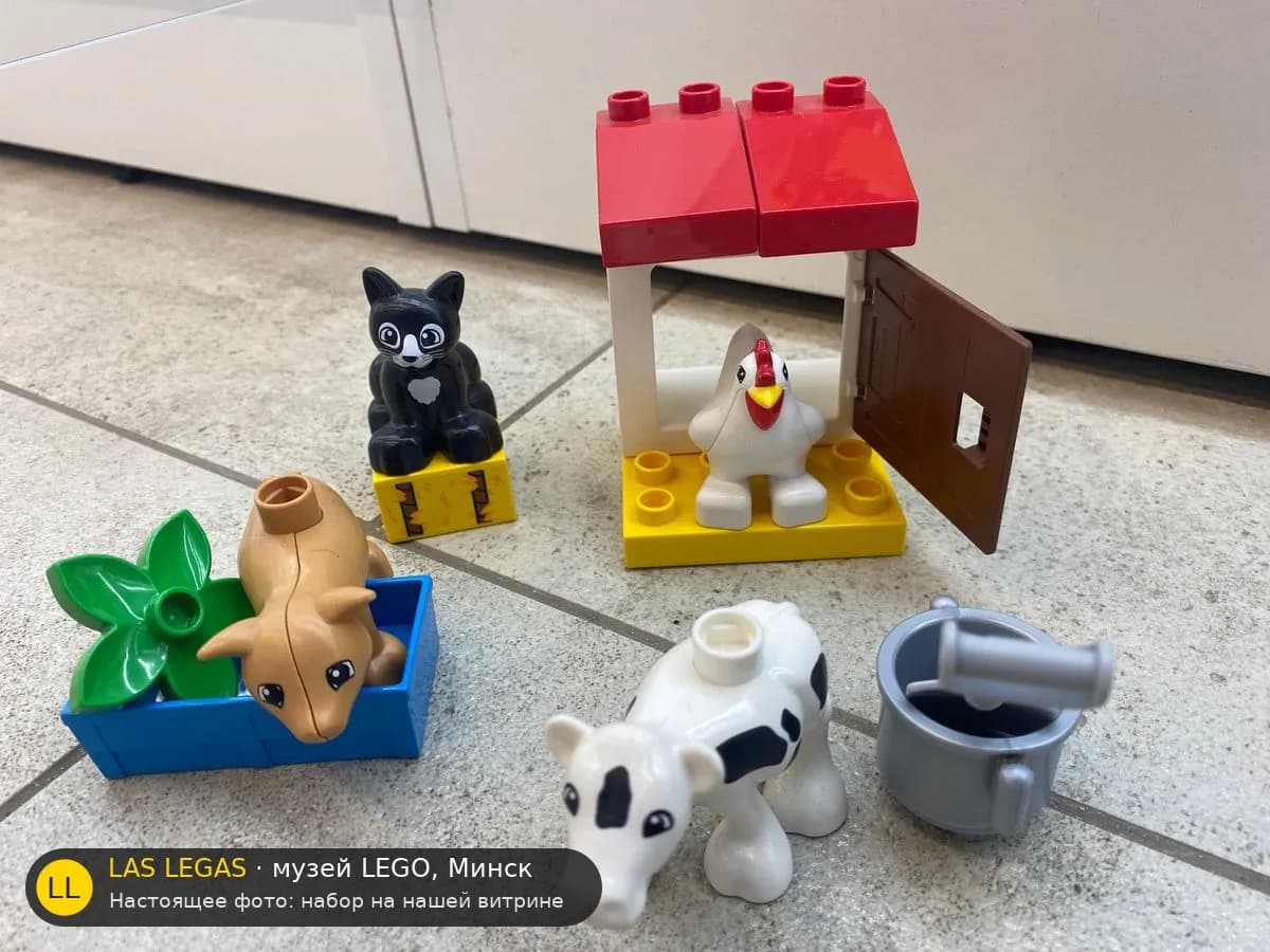 LEGO 10870 Домашние животные на ферме (Farm Animals) на витрине музея Las Legas