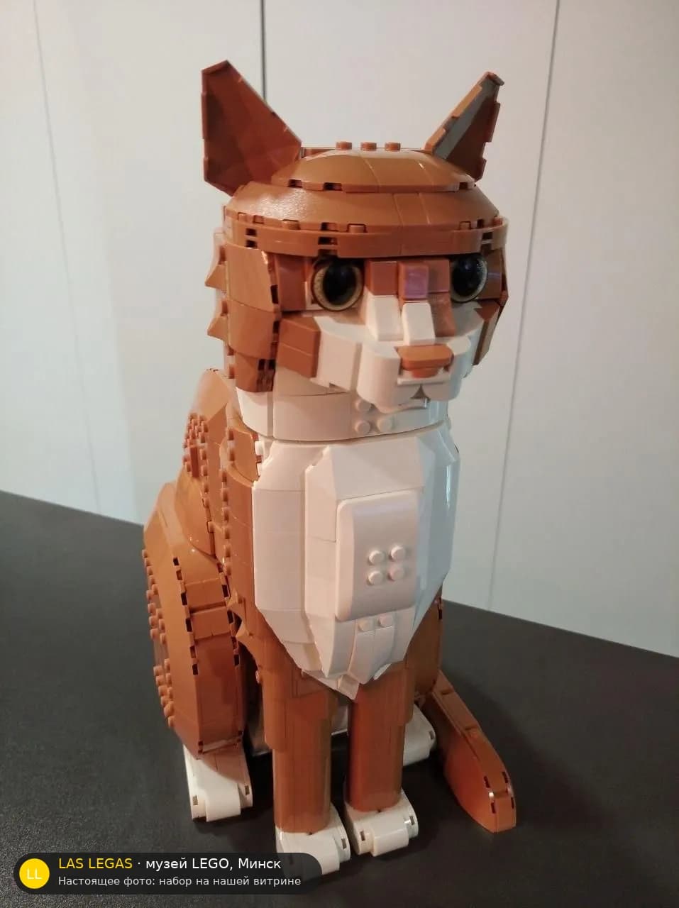 LEGO 21376 Оранжевый кот (Orange Cat) на витрине музея Las Legas