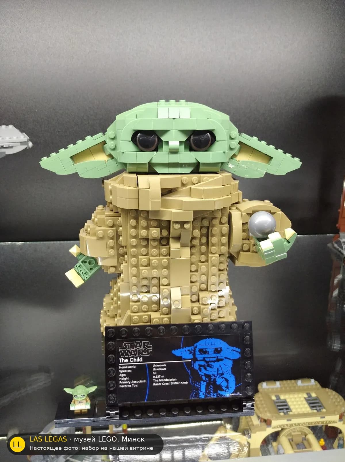 LEGO 75318 Малыш (The Child) (The Child) на витрине музея Las Legas