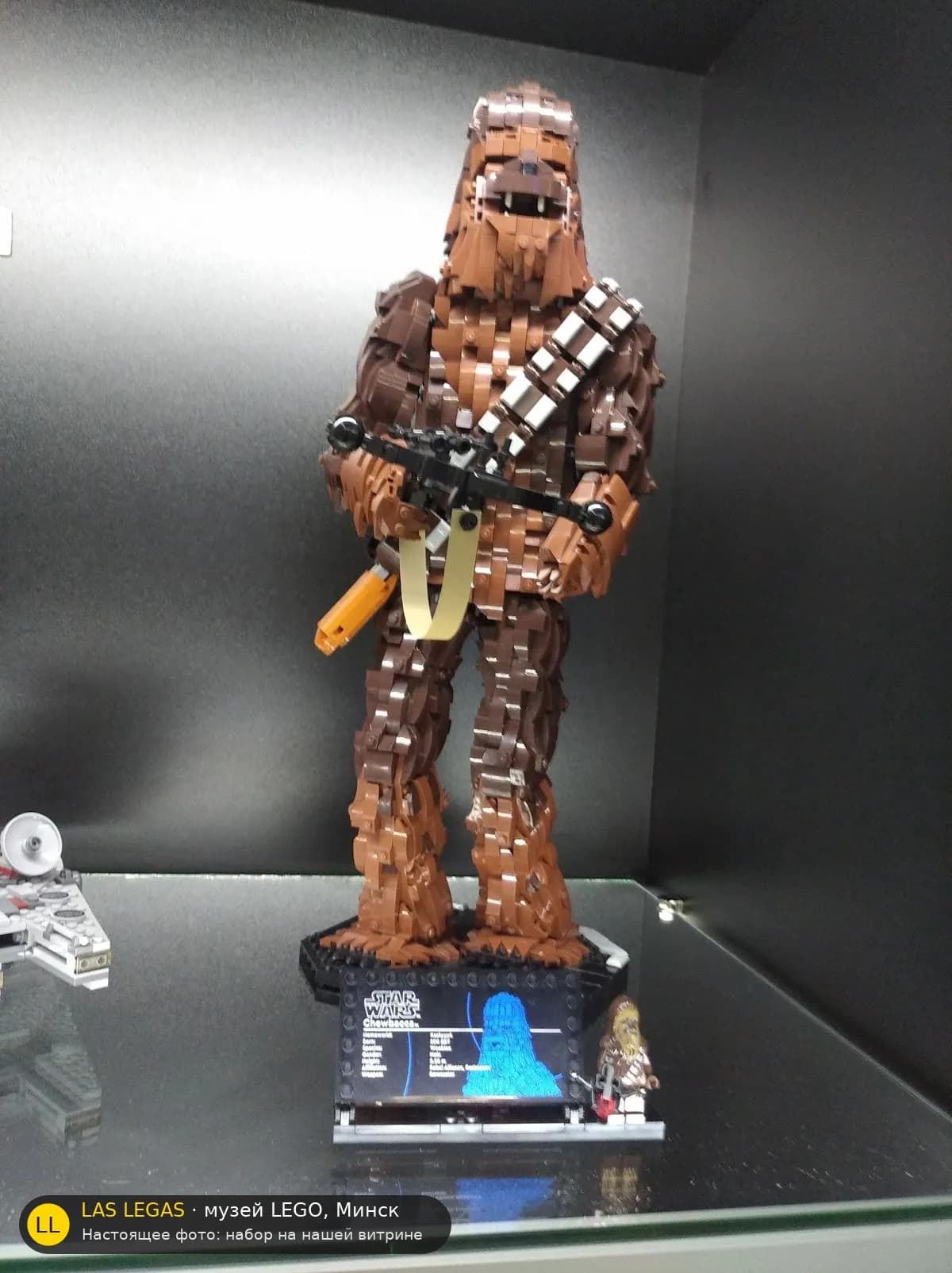 LEGO 75371 Чубакка (Chewbacca) на витрине музея Las Legas
